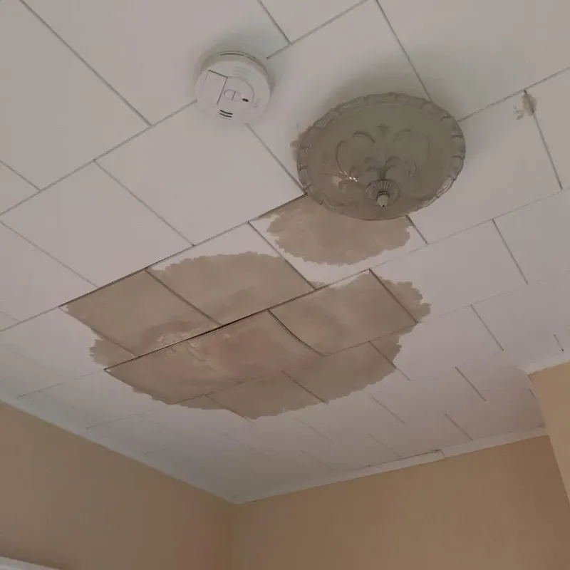 Ceiling Water Damage Repair in Conrad, IA