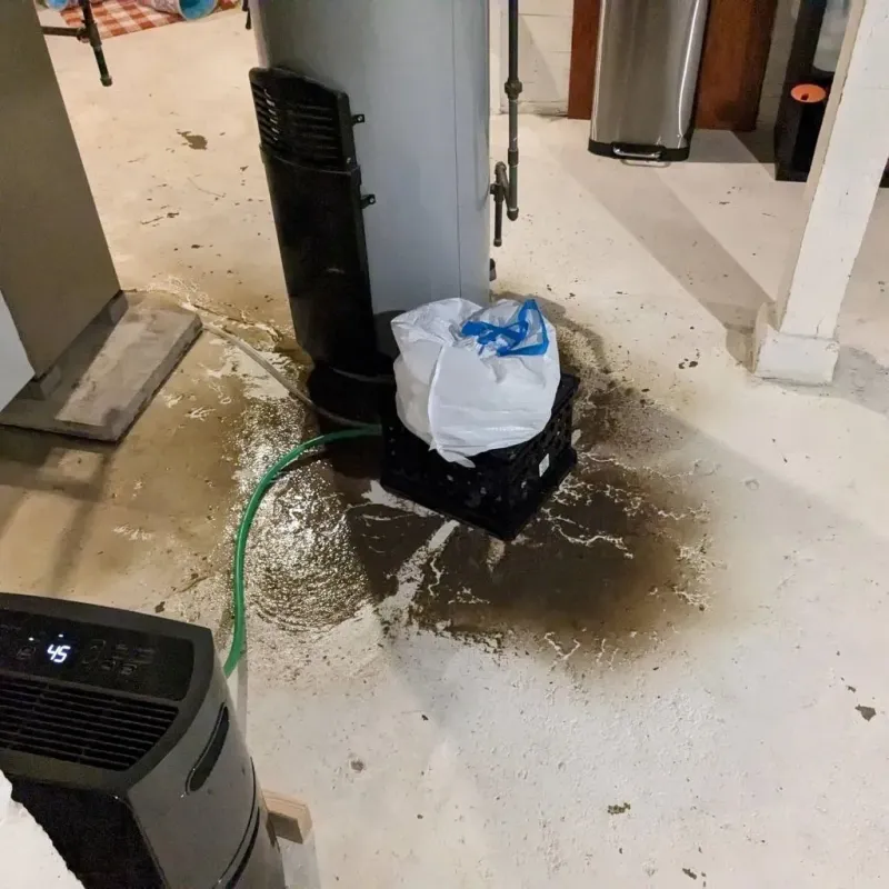Sewage Backup Cleanup Service in Conrad, IA